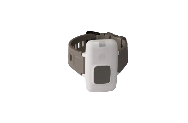 Securitas Healthcare Arial e-call P10 pendant